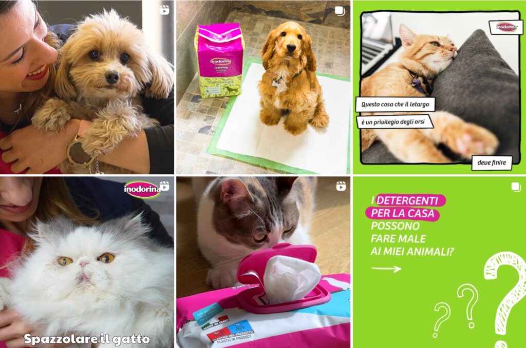 alcuni dei contenuti creati da FattorePet per Instagram di Inodorina